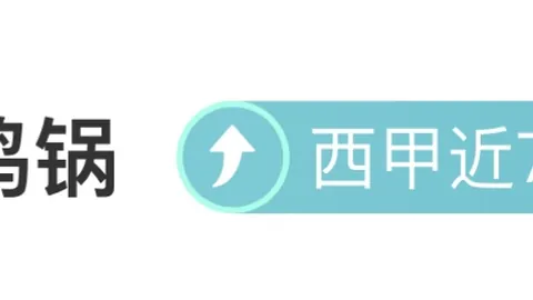 纽卡斯尔联0-2阿森纳英超第35轮较量：10.8亿盛宴！厄德高神级滑铲得分，马丁内利乌龙助威！